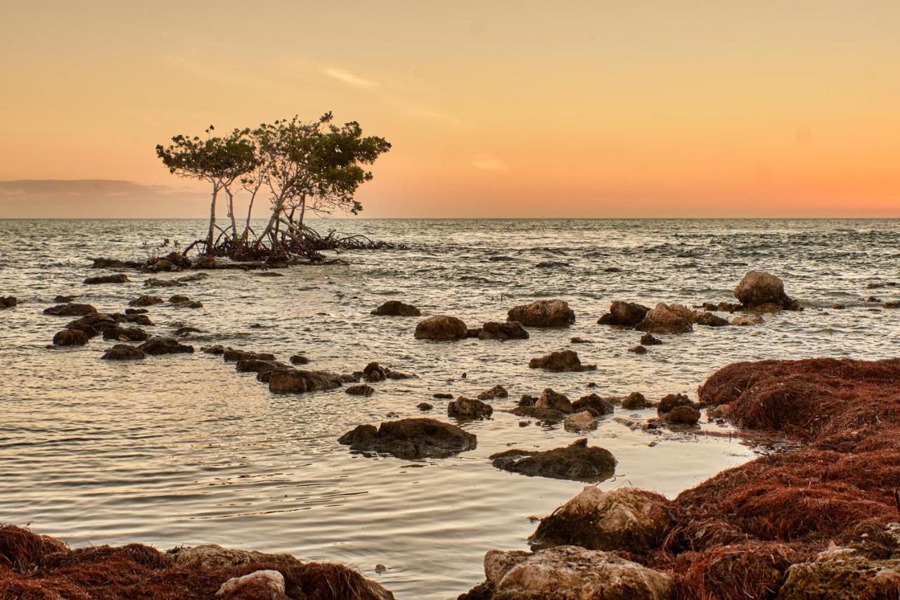 Isla Bella Beach Resort & Spa - Florida Keys Marathon Ngoại thất bức ảnh